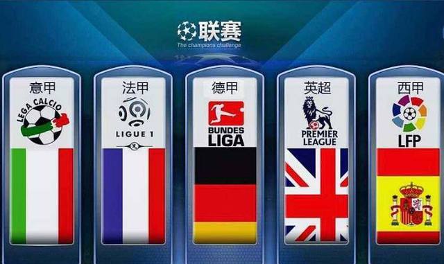 决定可能会